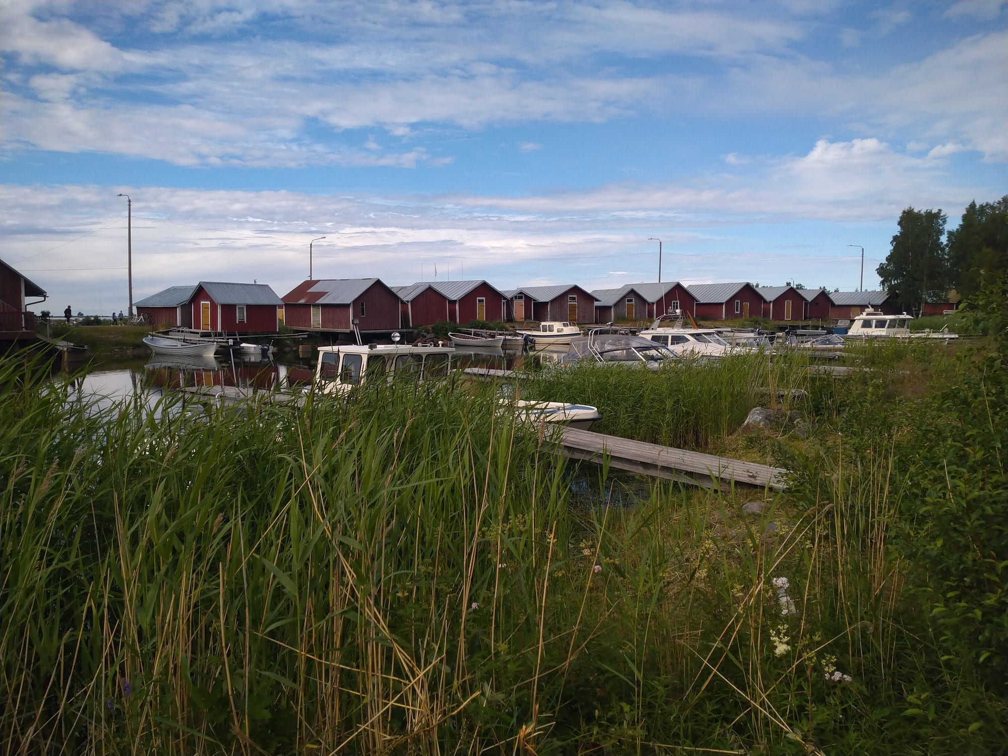 A row of red wooden boathouses beside a small harbour with moored motorboats, seen across tall green reeds