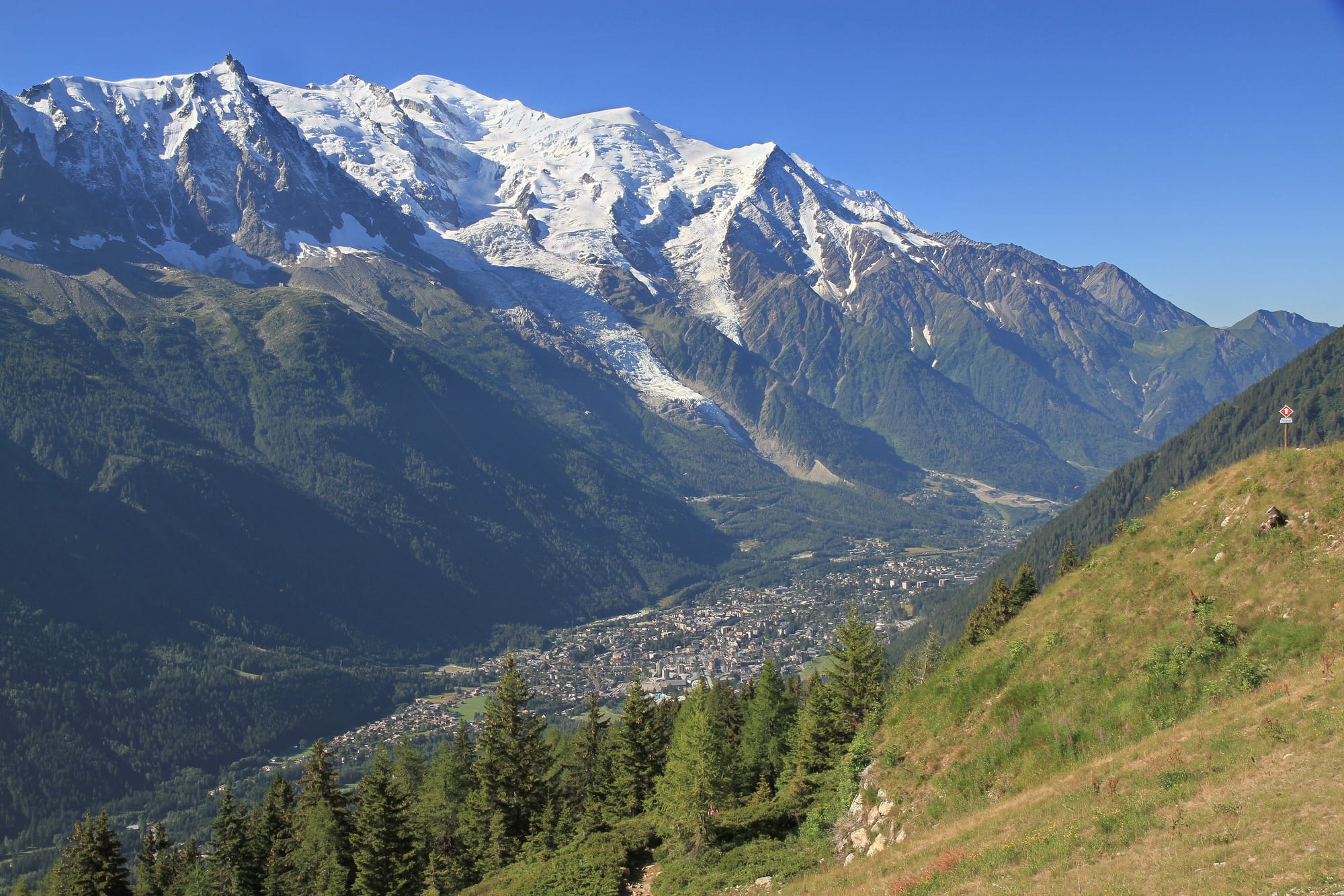 Snow-covered Mont Blanc massif and glaciers rising above the town of Chamonix in a green, forested valley