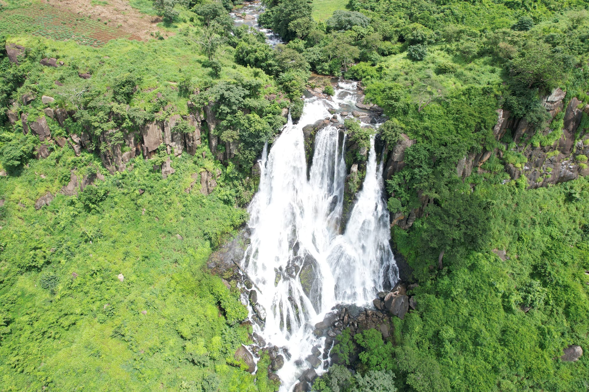 Aerial view of a wide waterfall splitting into several white streams over dark rock, surrounded by green forest