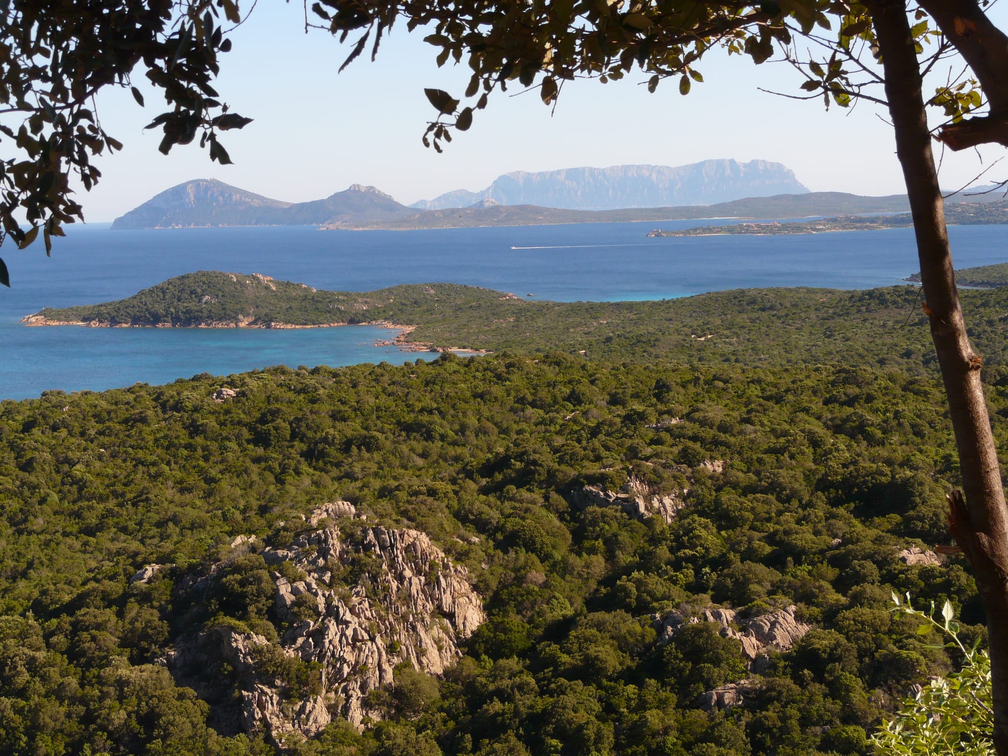 Green scrub-covered granite hills sloping to a blue bay, with a headland and the sheer island of Tavolara beyond