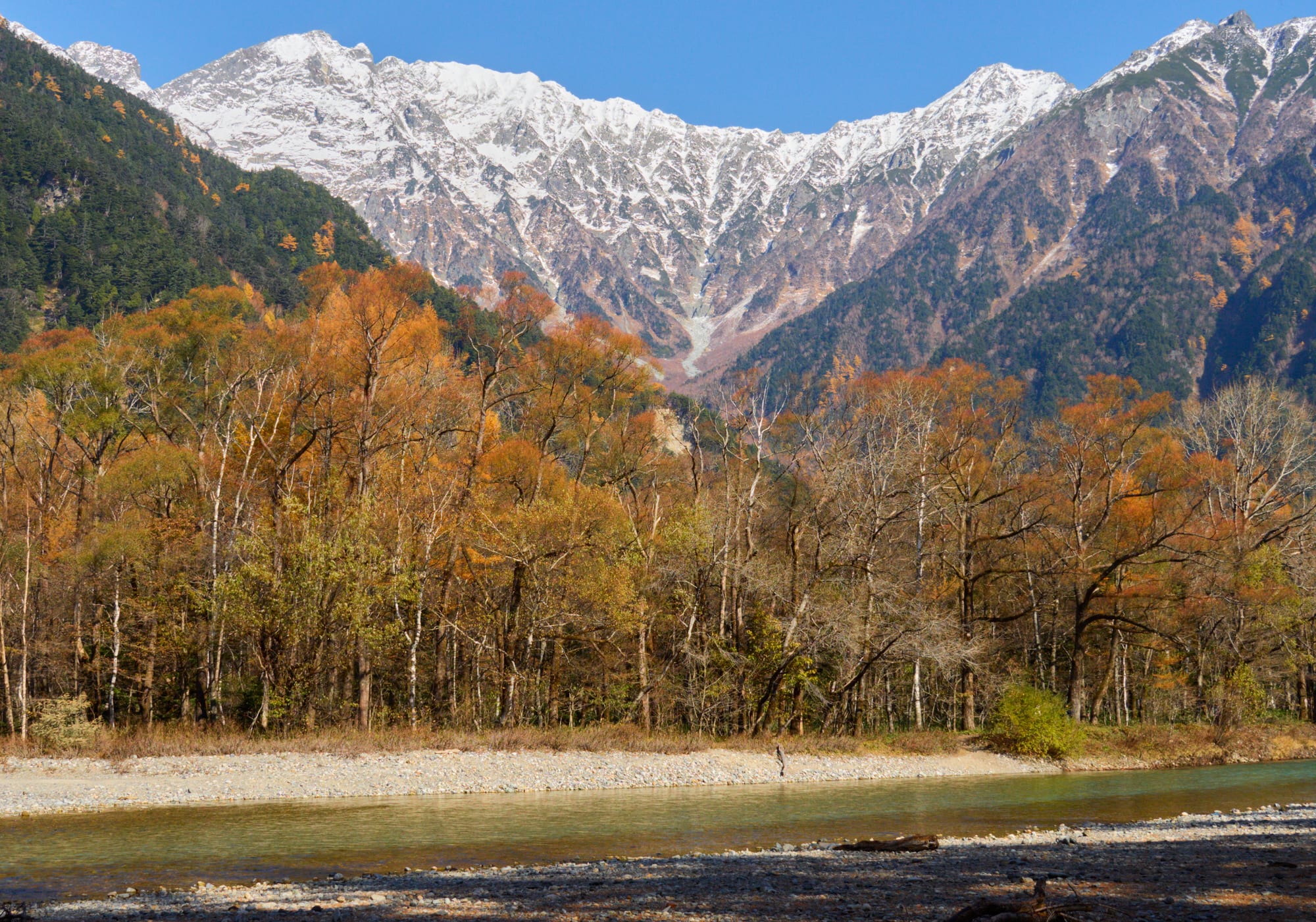 Snow-dusted granite peaks above a forest of golden autumn larches and a clear river with a stony bank