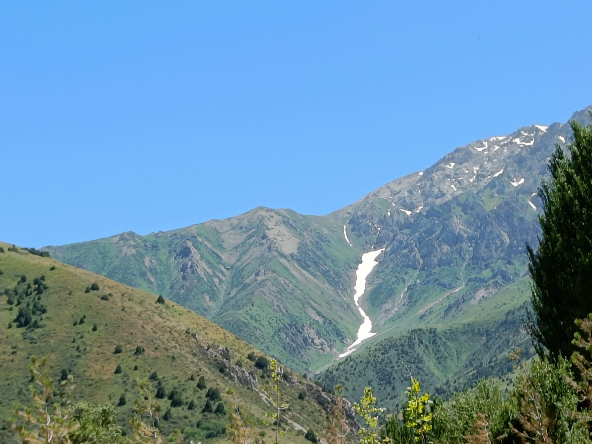 Green mountain slopes dotted with juniper rising to a rocky ridge with patches of snow under a clear blue sky