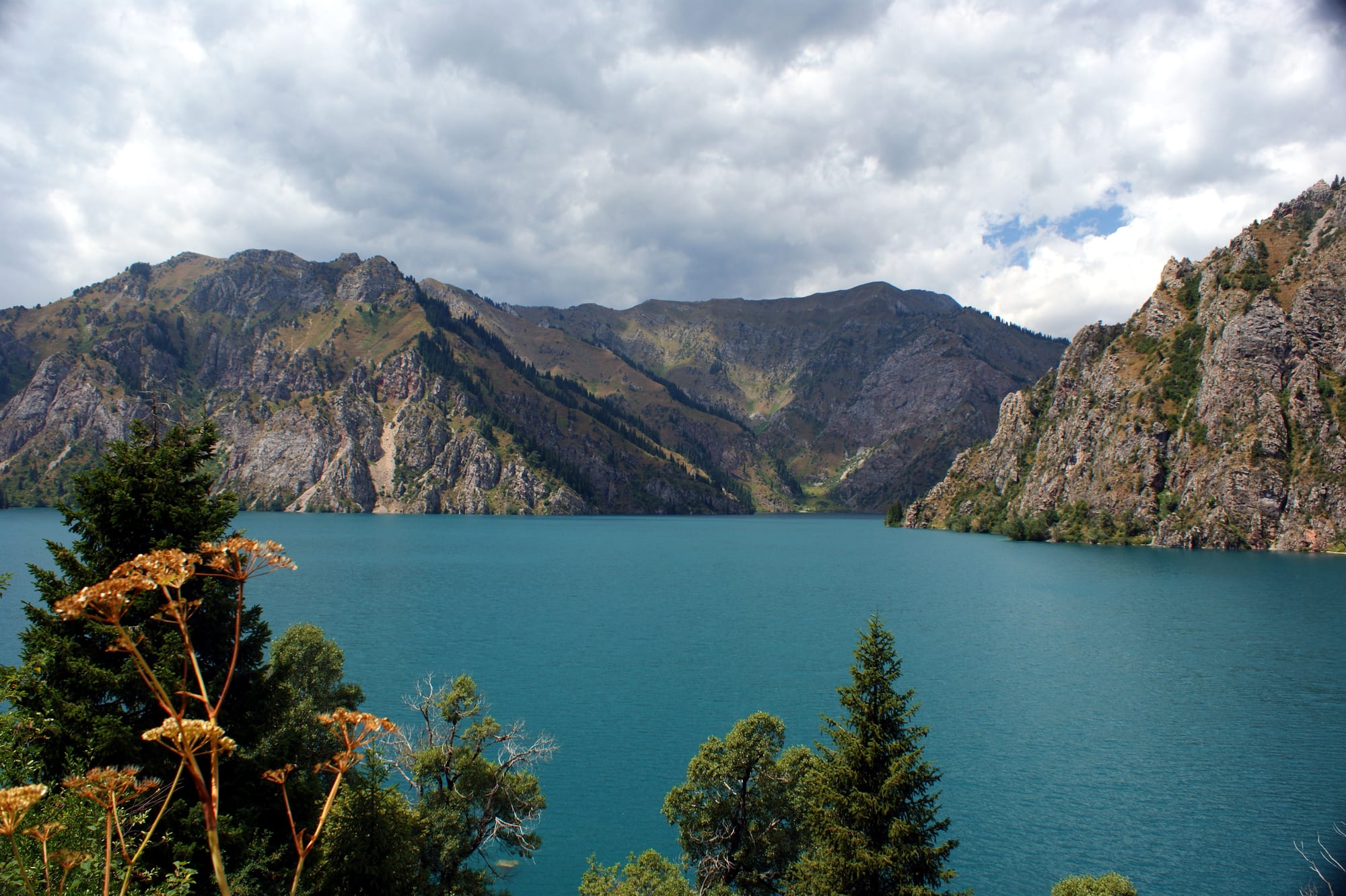 A turquoise lake between steep grey-green rocky mountains, with fir trees and dried umbellifer flowers in the foreground