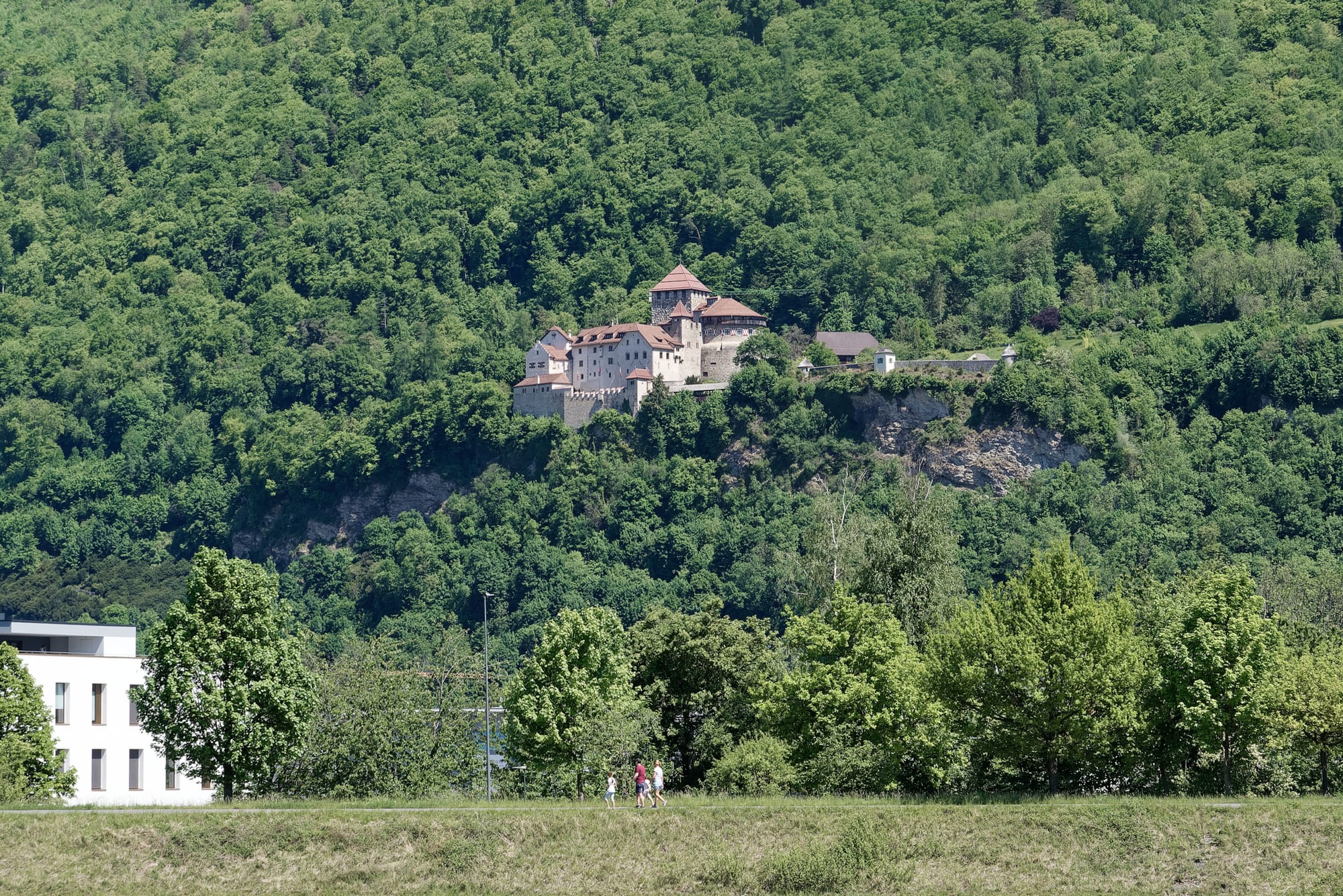 A medieval castle with a square keep and red roofs on a wooded hillside above a small town and a broad river valley