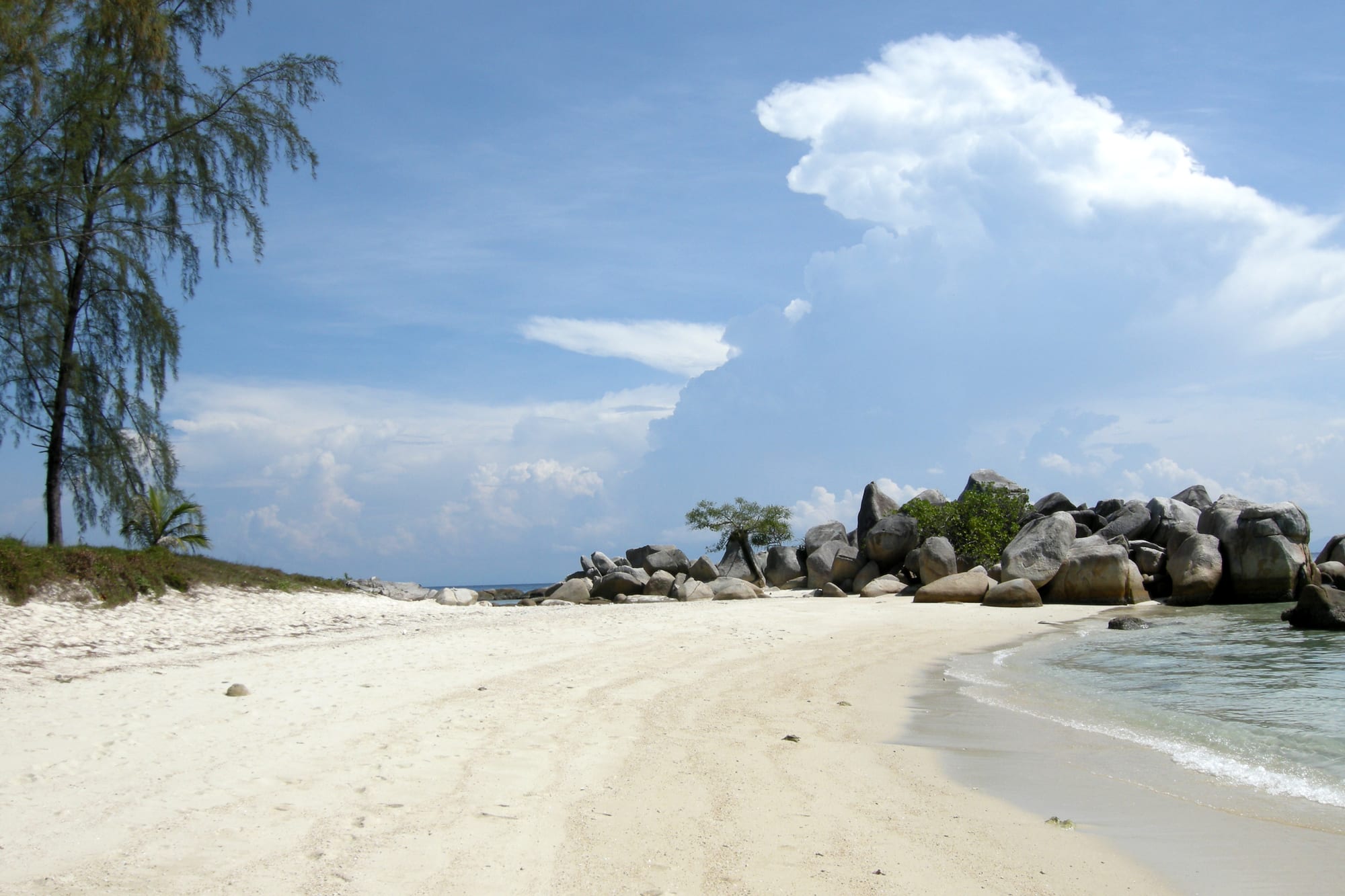 A white sand beach with a casuarina tree, granite boulders and clear shallow water under a blue sky with clouds