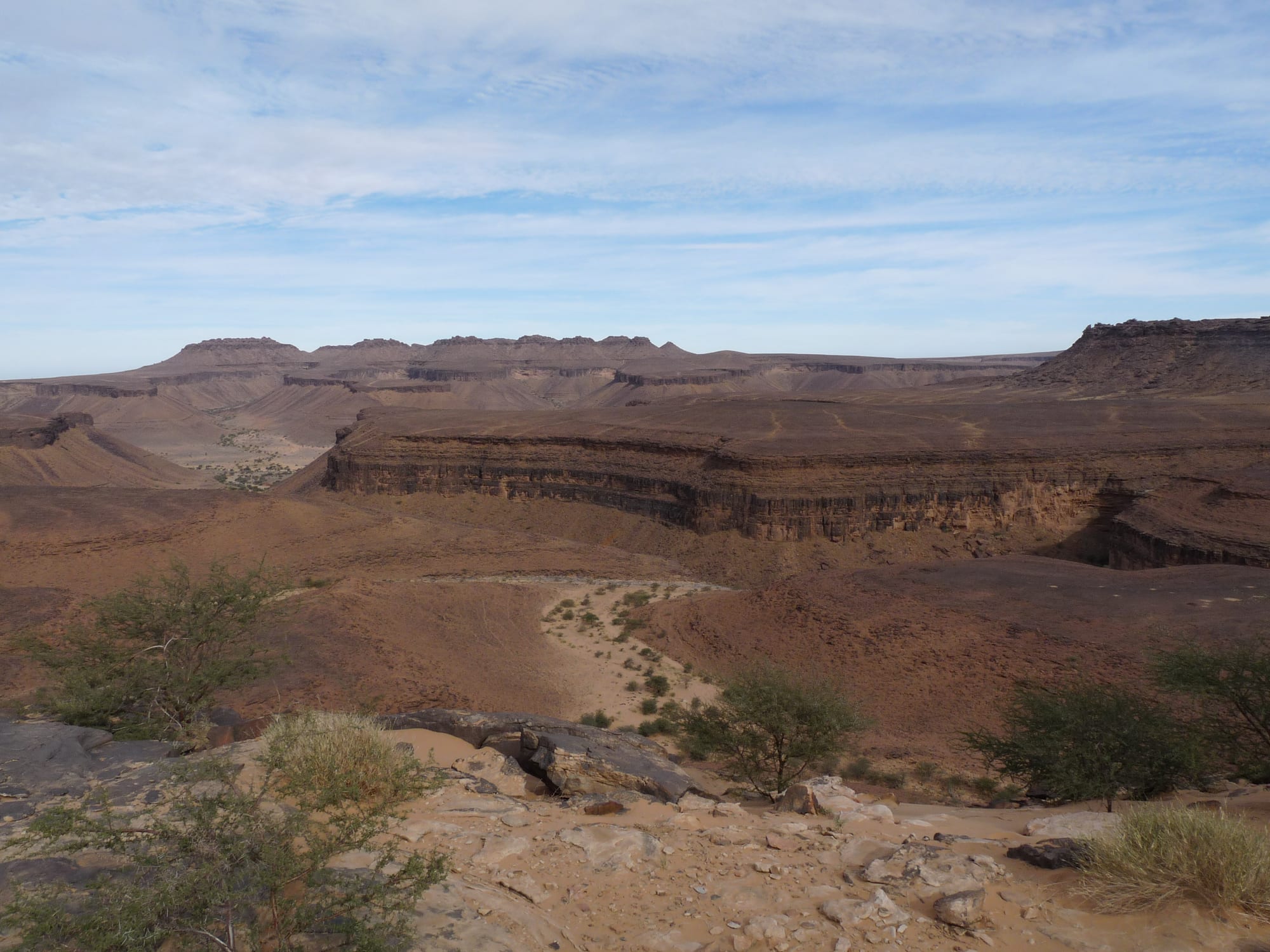 Layered brown sandstone plateaus and cliffs stretching into the distance above a dry valley with scattered acacias
