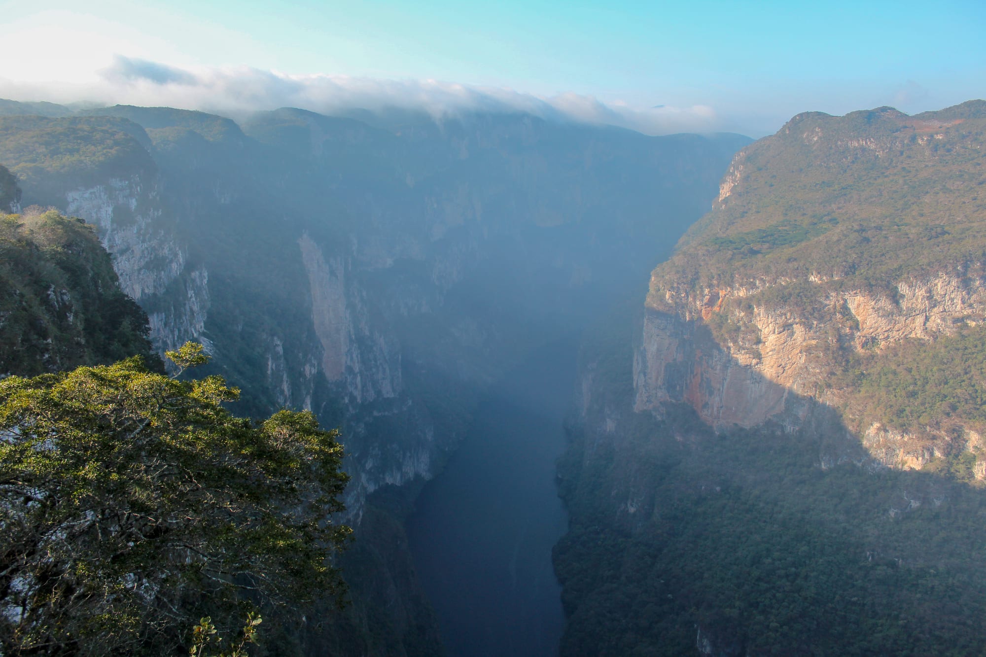 A deep gorge with sheer forested cliffs on both sides and a river far below in morning haze