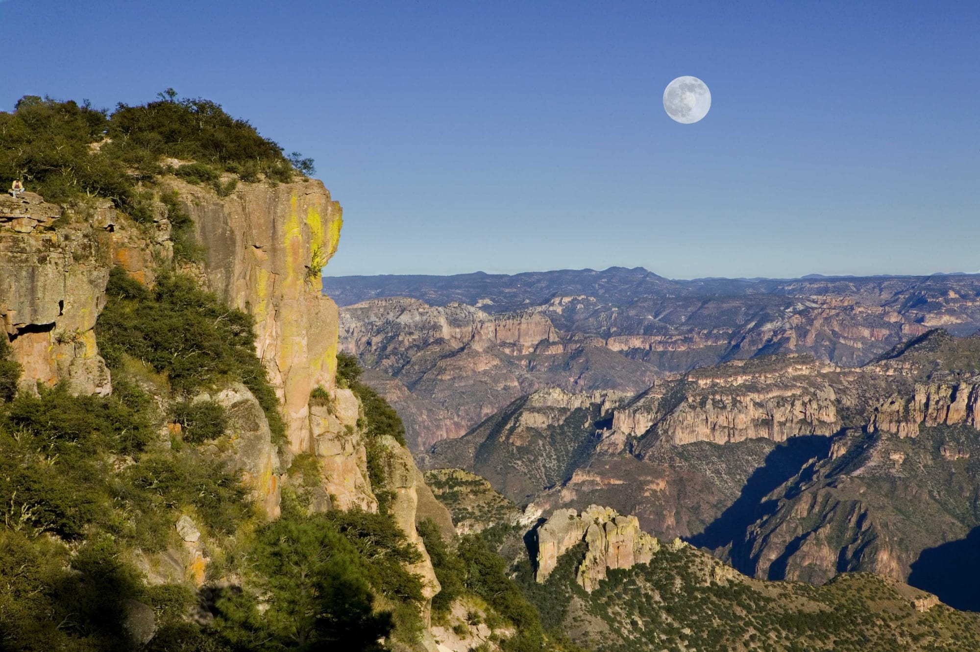 Layered canyon walls and forested ridges stretching to the horizon beneath a full moon in a clear blue sky
