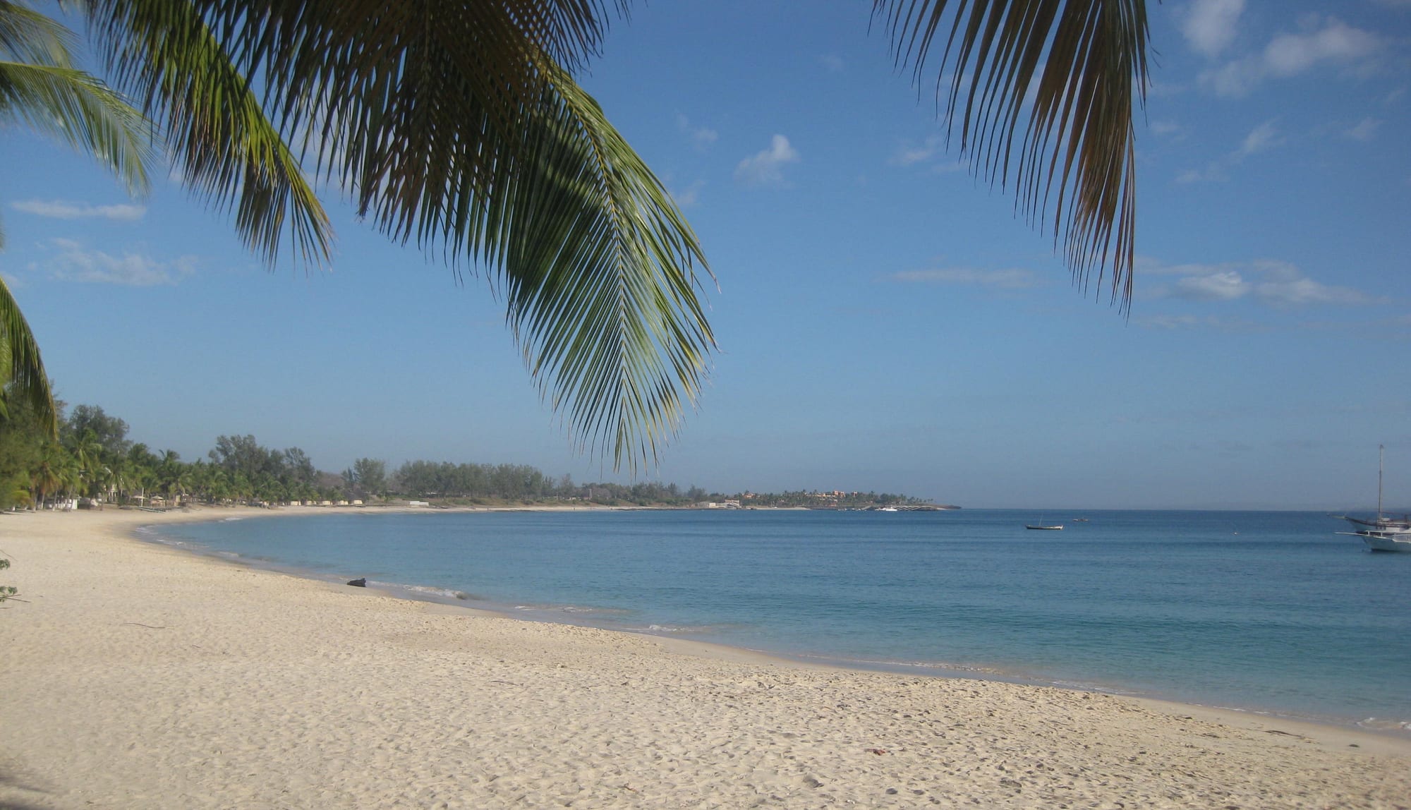 A long curve of pale sand and calm blue sea under a clear sky, framed by palm fronds
