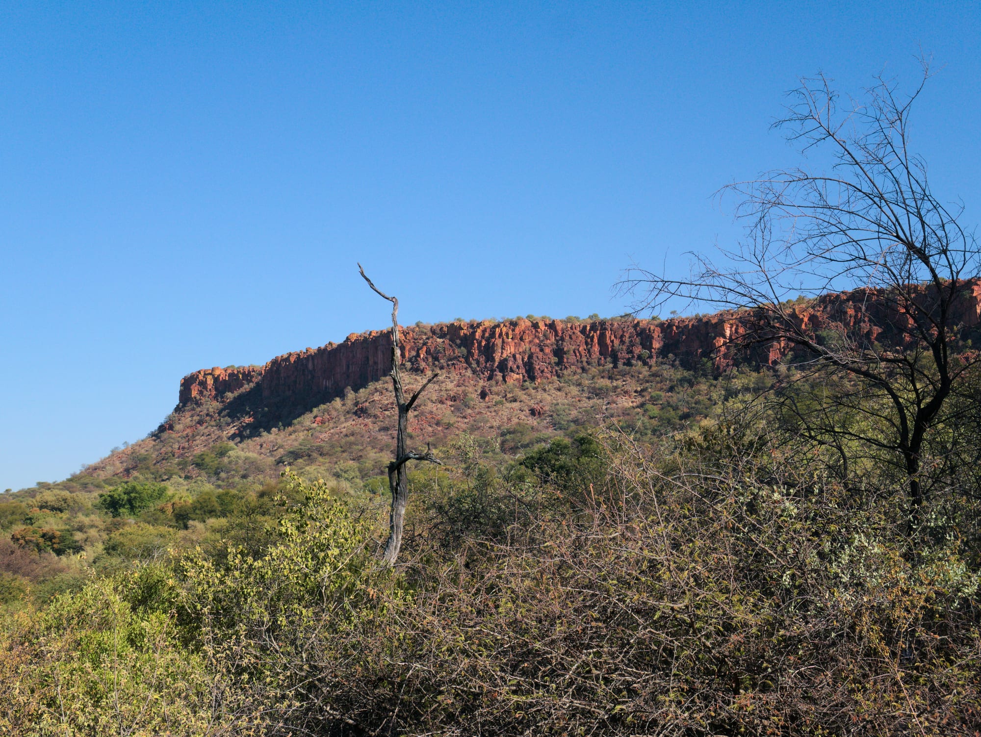 A long red sandstone cliff along the top of a hill above green and bare bush under a clear blue sky
