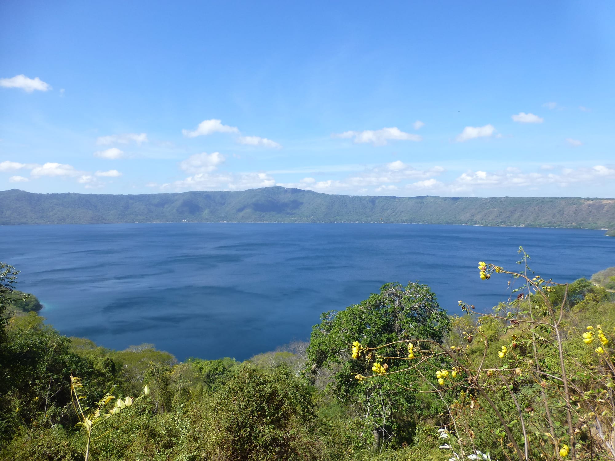 A wide deep-blue crater lake ringed by a long green forested rim, with flowering shrubs in the foreground under a blue sky