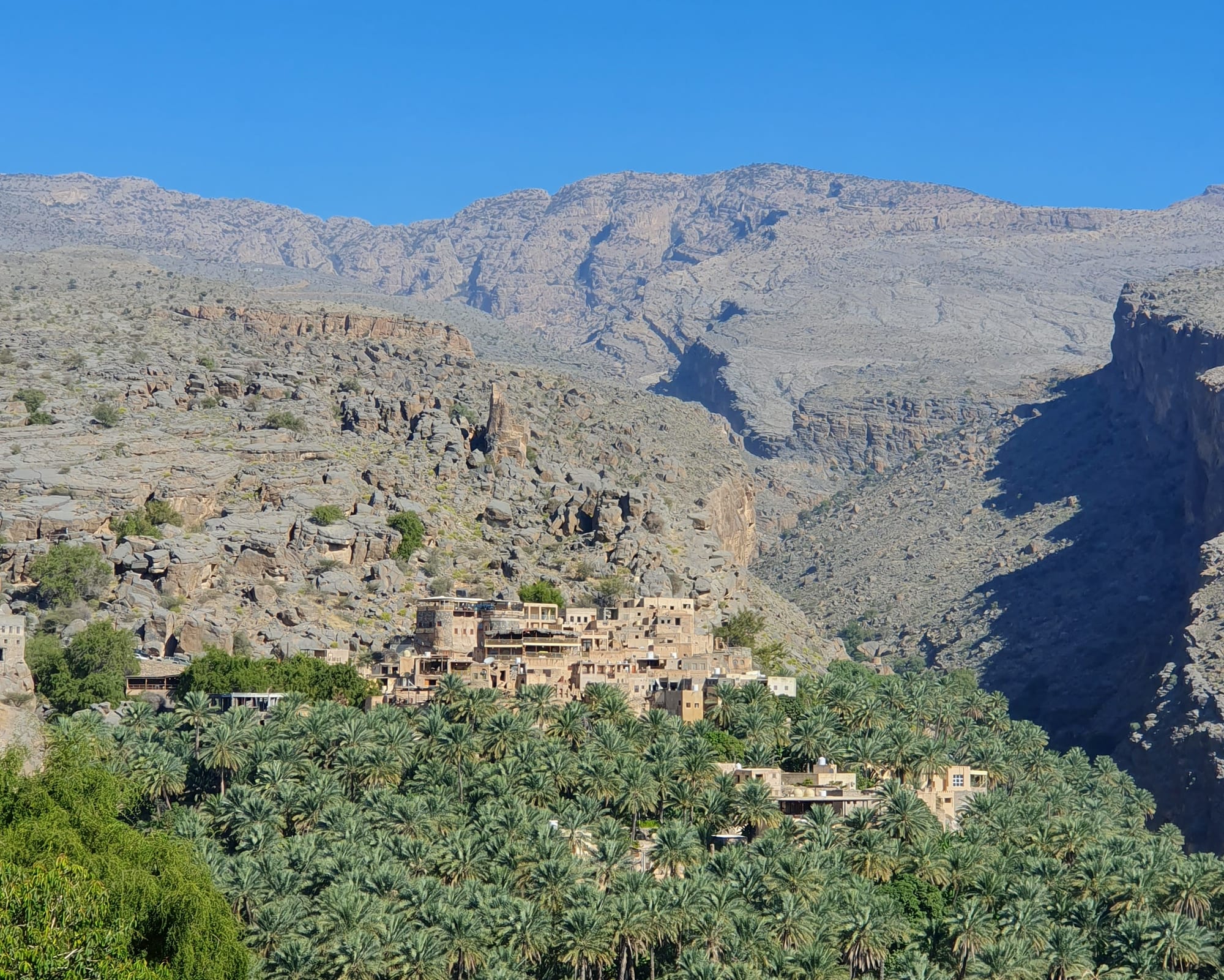 Stone and mud-brick houses of a mountain village above a dense grove of date palms, with bare grey ridges behind