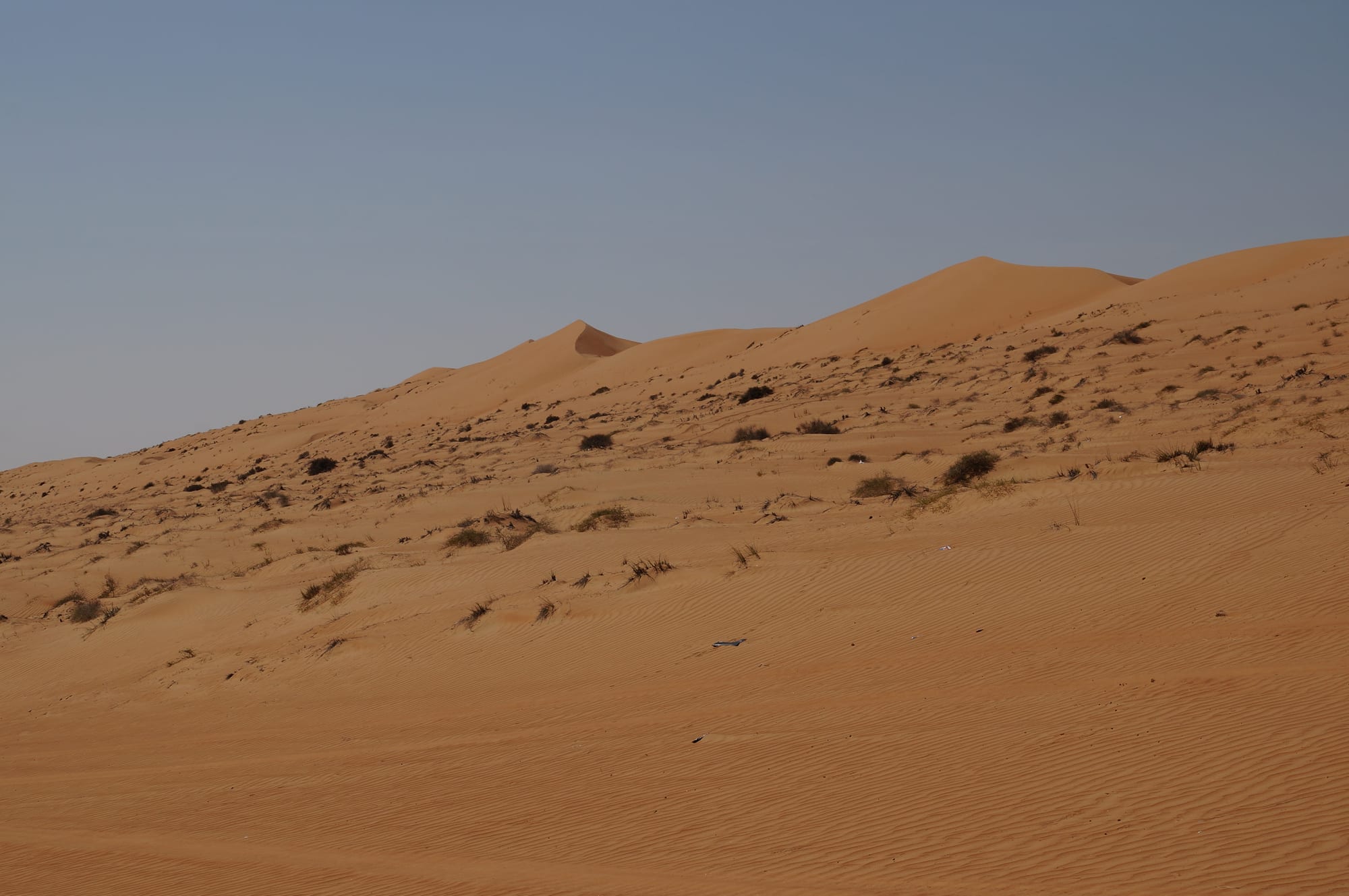 Rippled orange sand rising to a line of high dunes dotted with low desert shrubs under a pale blue sky