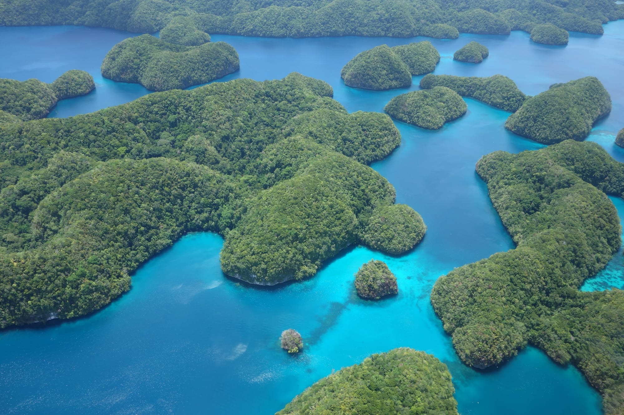 An aerial view of dozens of round, jungle-covered limestone islets scattered across a bright turquoise lagoon
