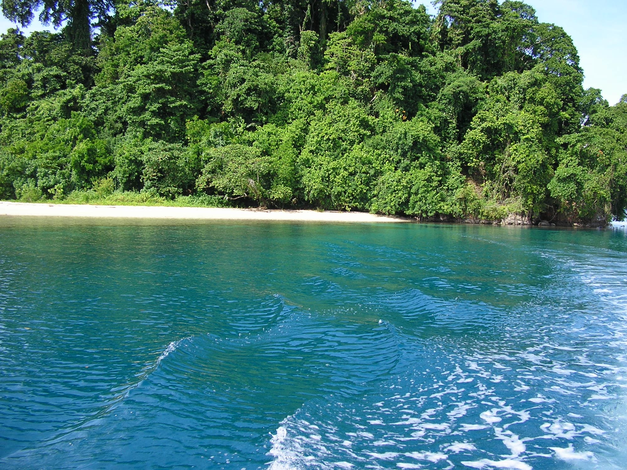 Clear turquoise water in front of a small white-sand beach backed by dense green rainforest
