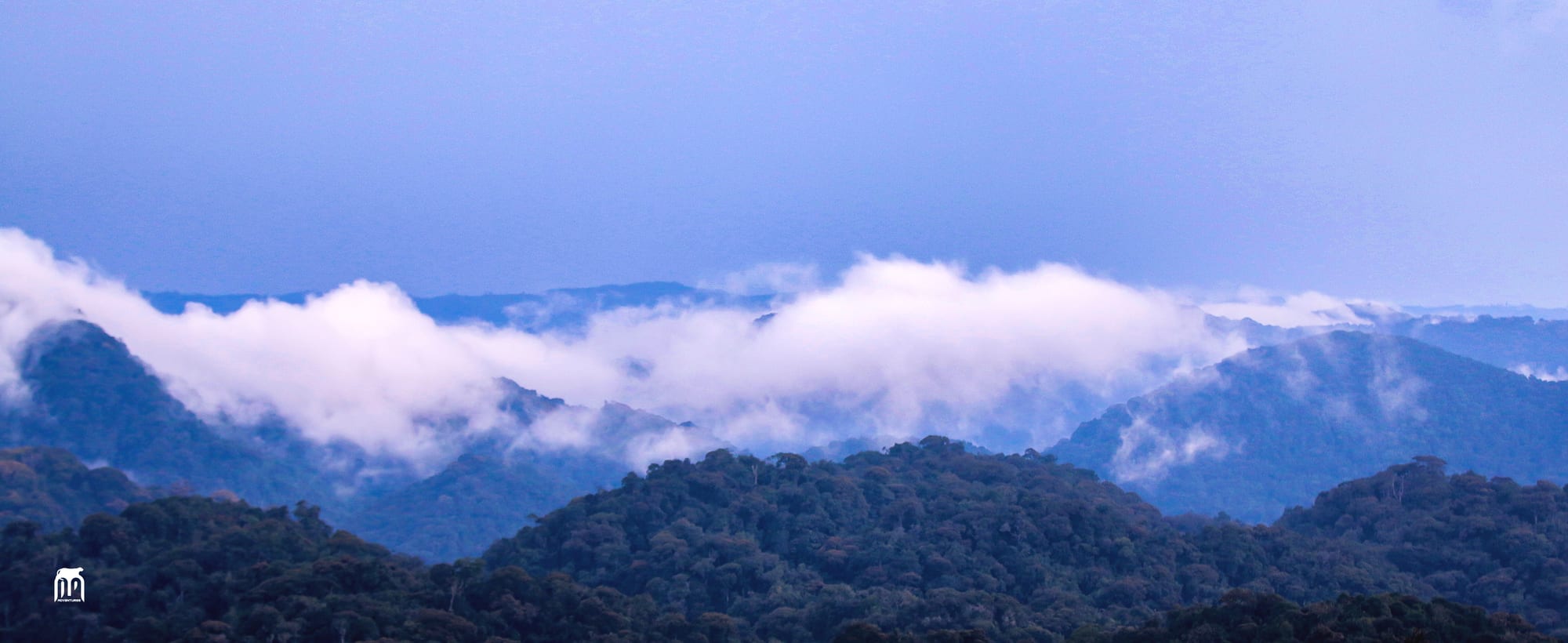 Row upon row of steep, densely forested green ridges receding into mist, with clouds breaking after rain