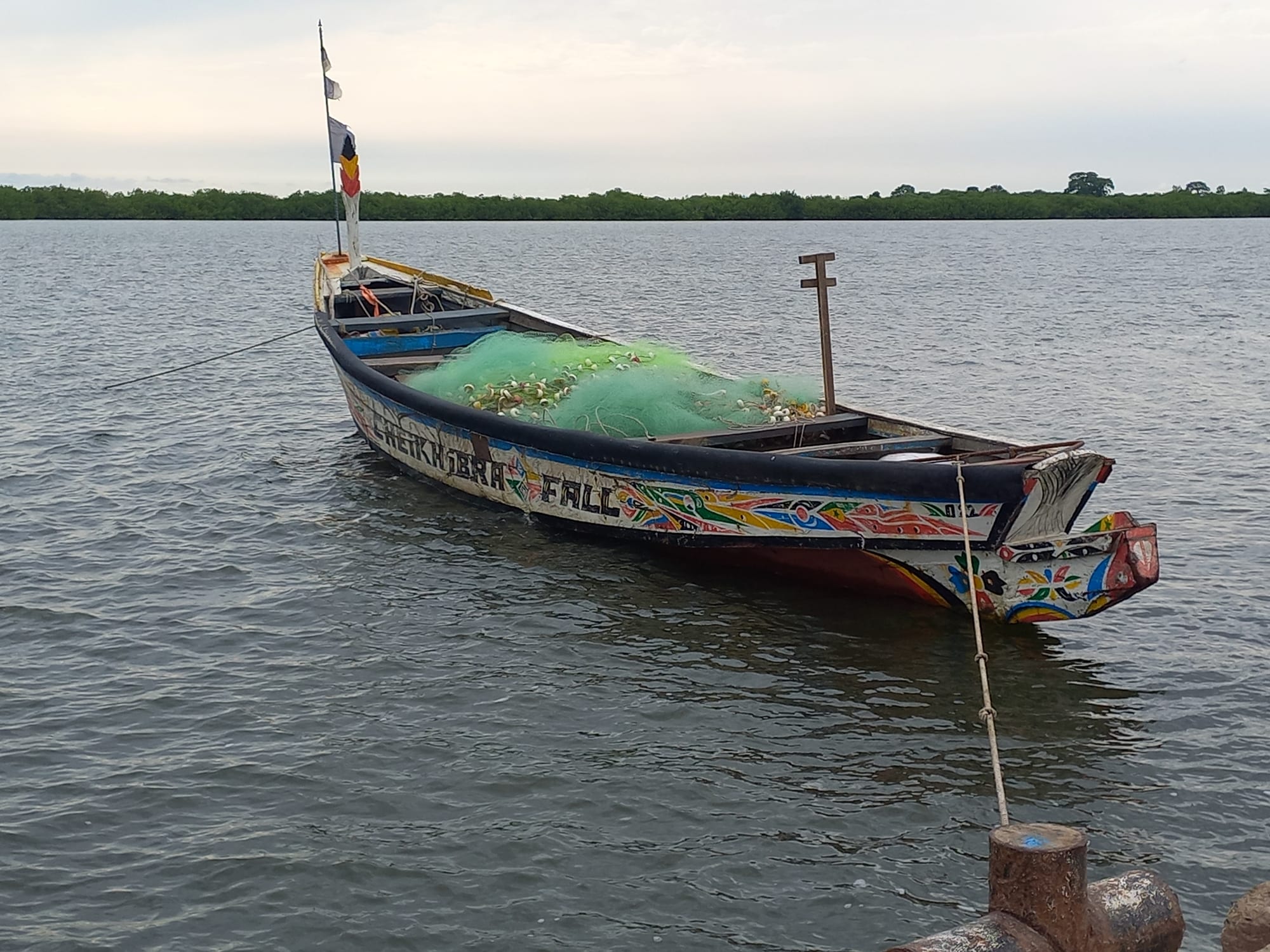 A painted wooden fishing pirogue loaded with green nets, moored on calm water with a mangrove shore beyond