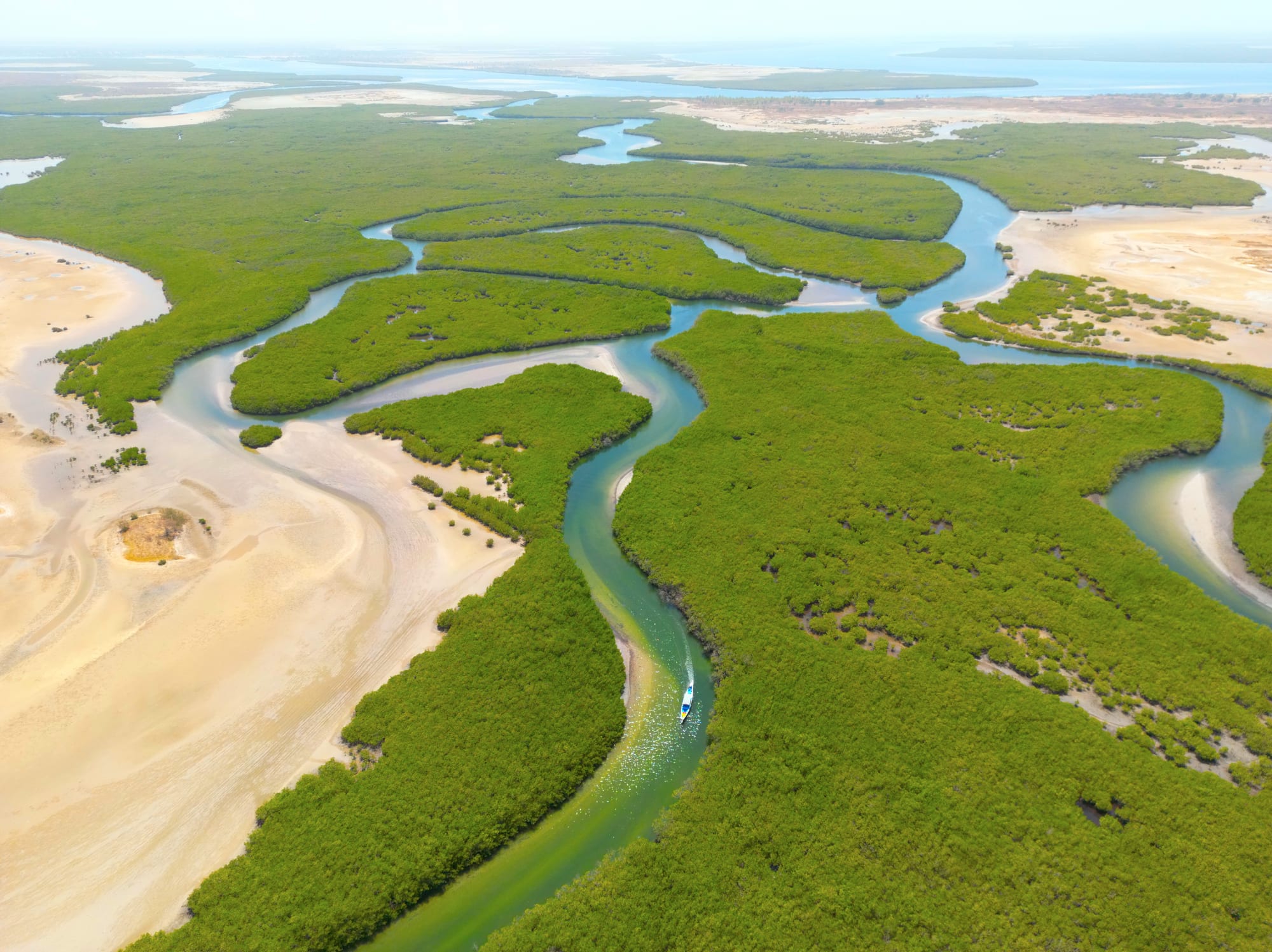 Aerial view of a turquoise tidal channel winding between bright green mangrove forest and pale sandbanks, with a small boat leaving a wake and open water on the horizon