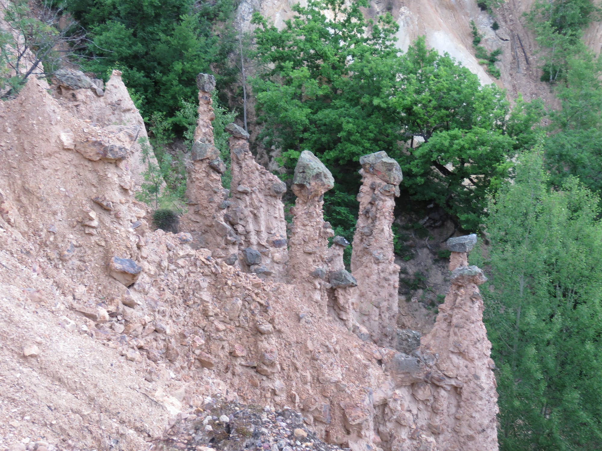 Tall, thin earth pillars topped with dark stone caps rising from a pinkish eroded slope among green trees