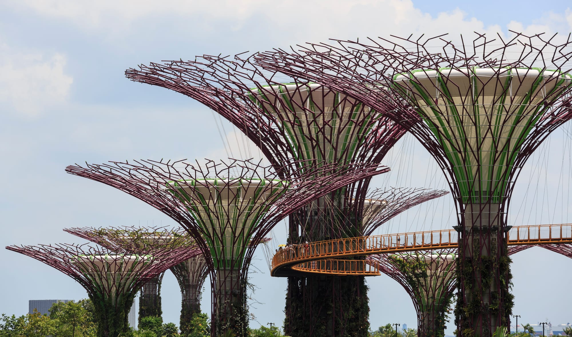 Tall tree-shaped steel structures covered in climbing plants, lit against a dusk sky, linked by an elevated walkway