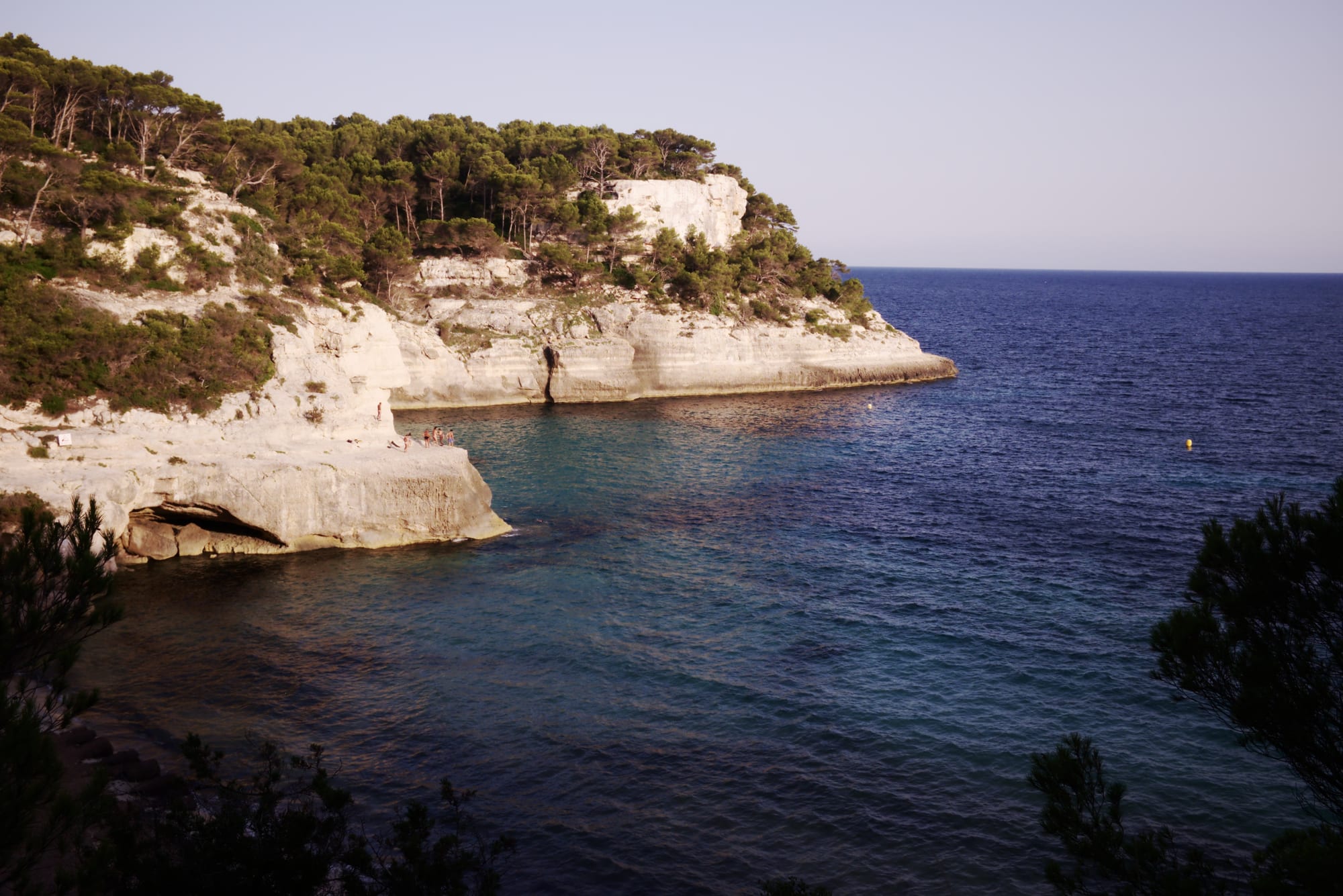 A deep blue cove framed by pale limestone cliffs topped with pine trees, under a clear evening sky