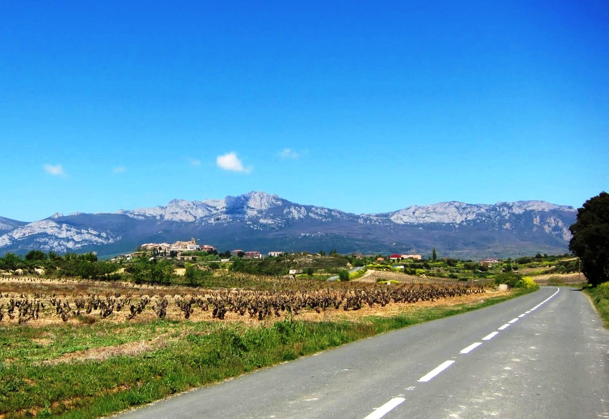 A road running past bare vineyards towards the hill town of Laguardia, with a grey limestone mountain ridge behind