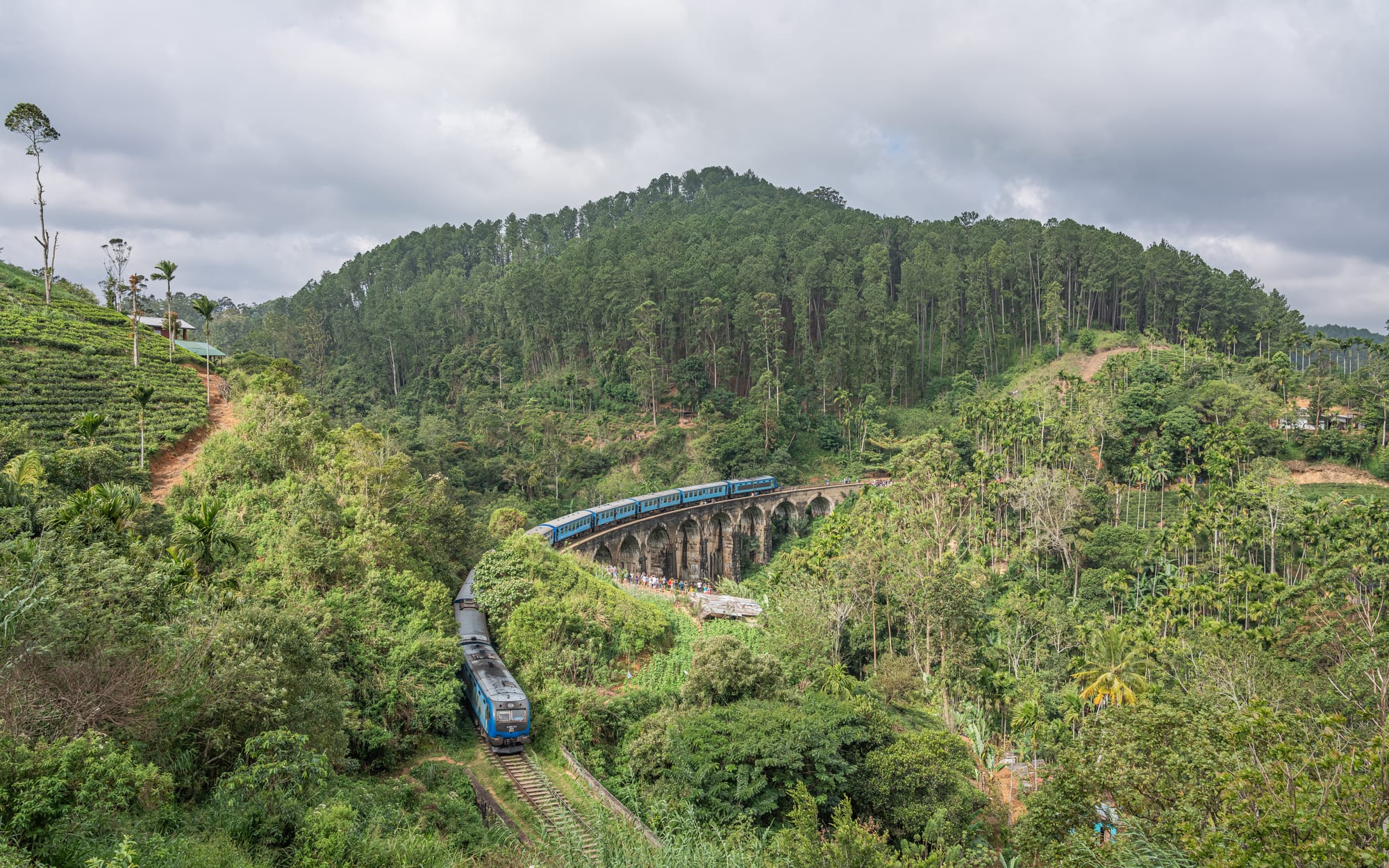 A blue train crossing a curved stone arched viaduct among forested green hills and tea bushes under a cloudy sky
