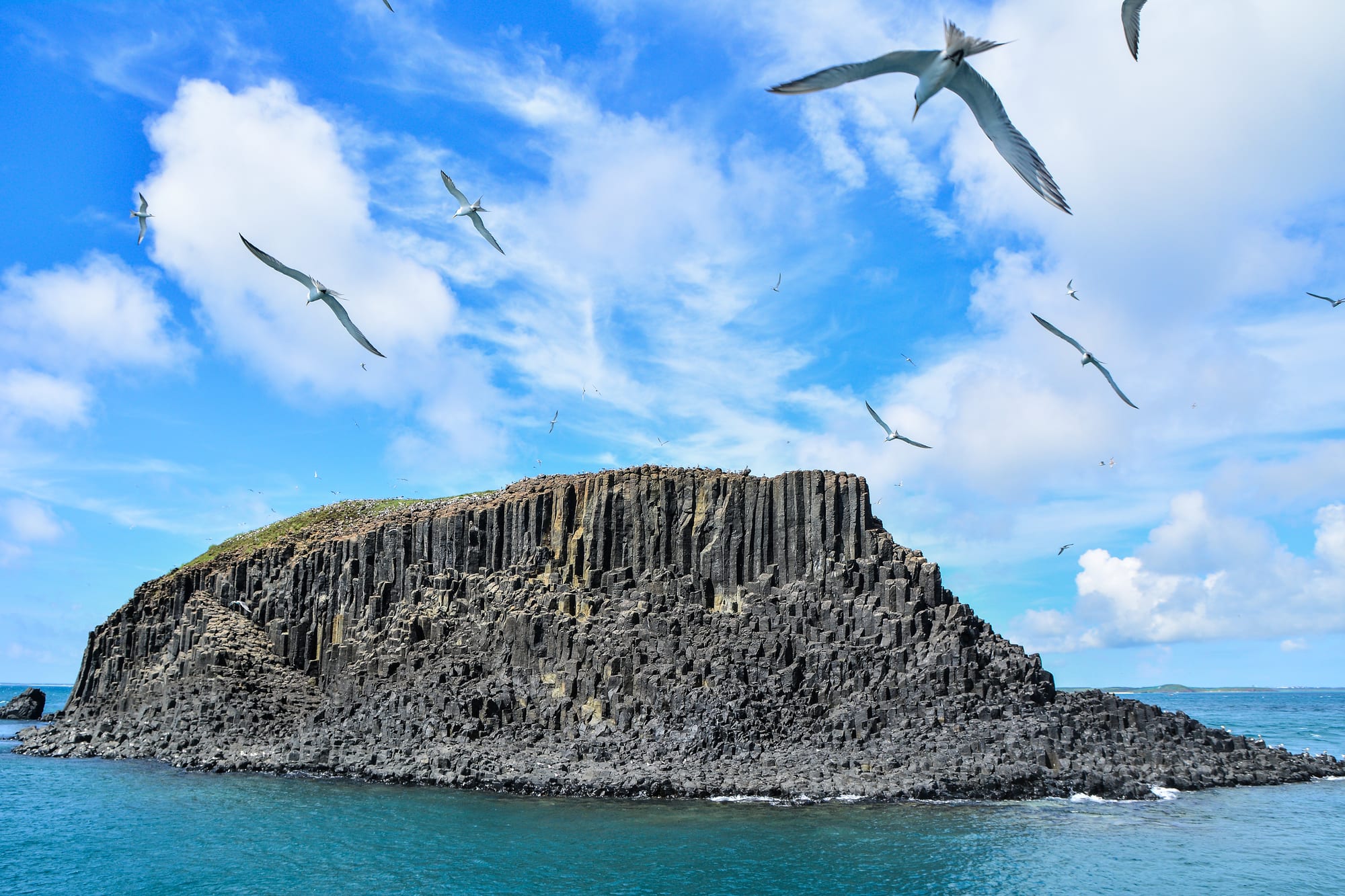 Seabirds wheeling above a small islet of dark basalt columns rising from turquoise sea under a blue sky