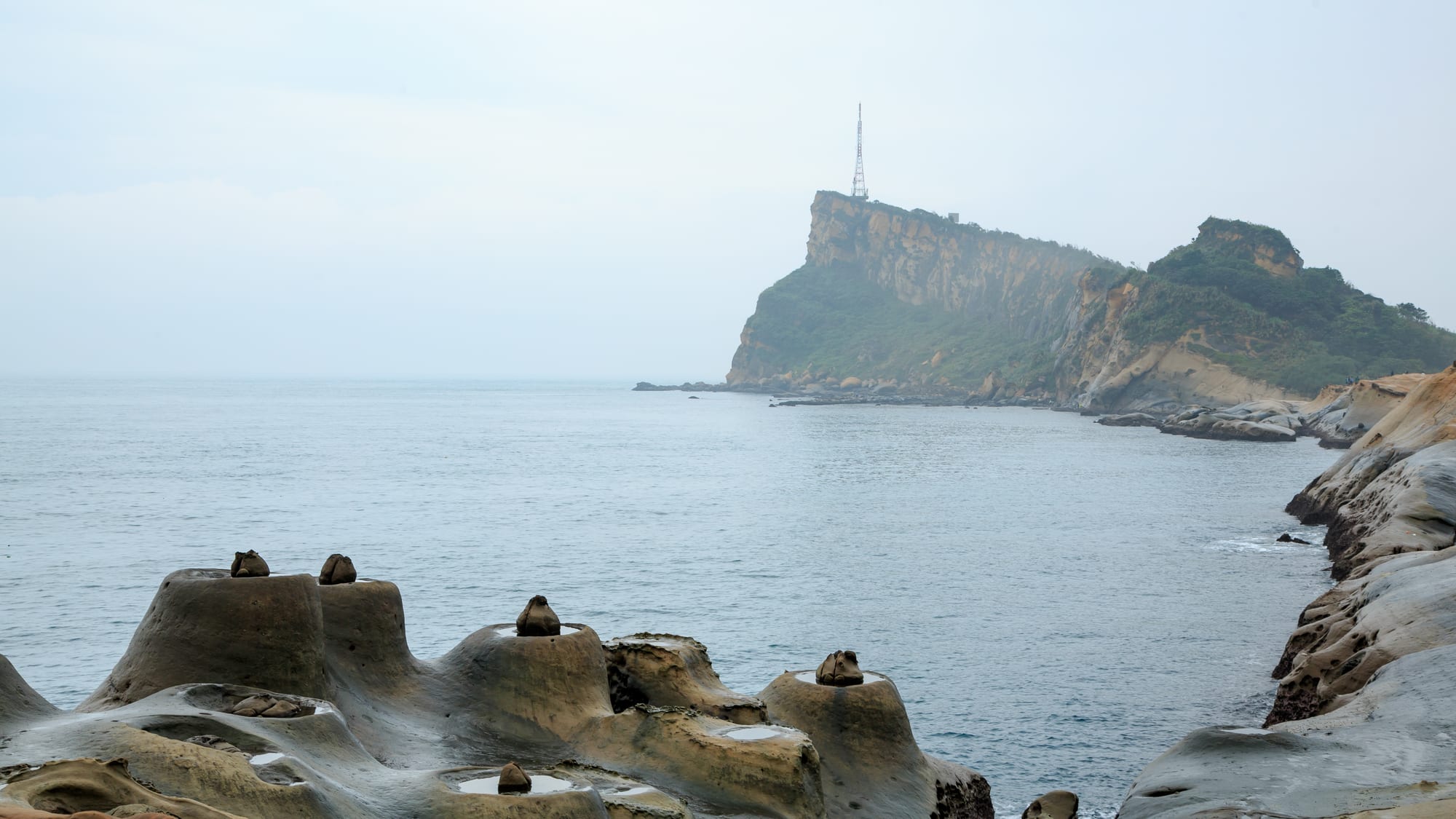 Mushroom-like sandstone rock formations on a shoreline, with calm grey sea and a steep green headland beyond