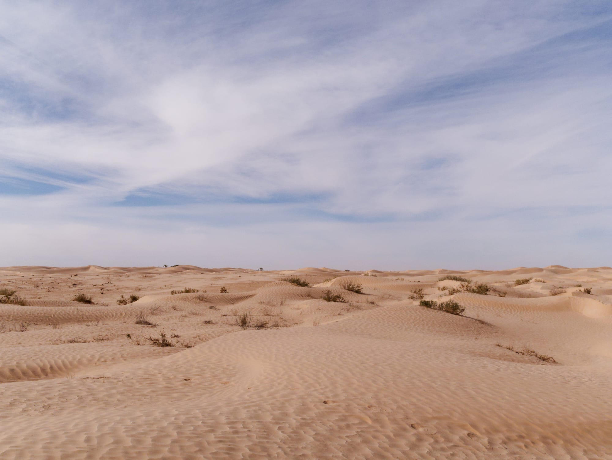 Low rippled sand dunes dotted with dry shrubs stretching to the horizon under streaky white cloud