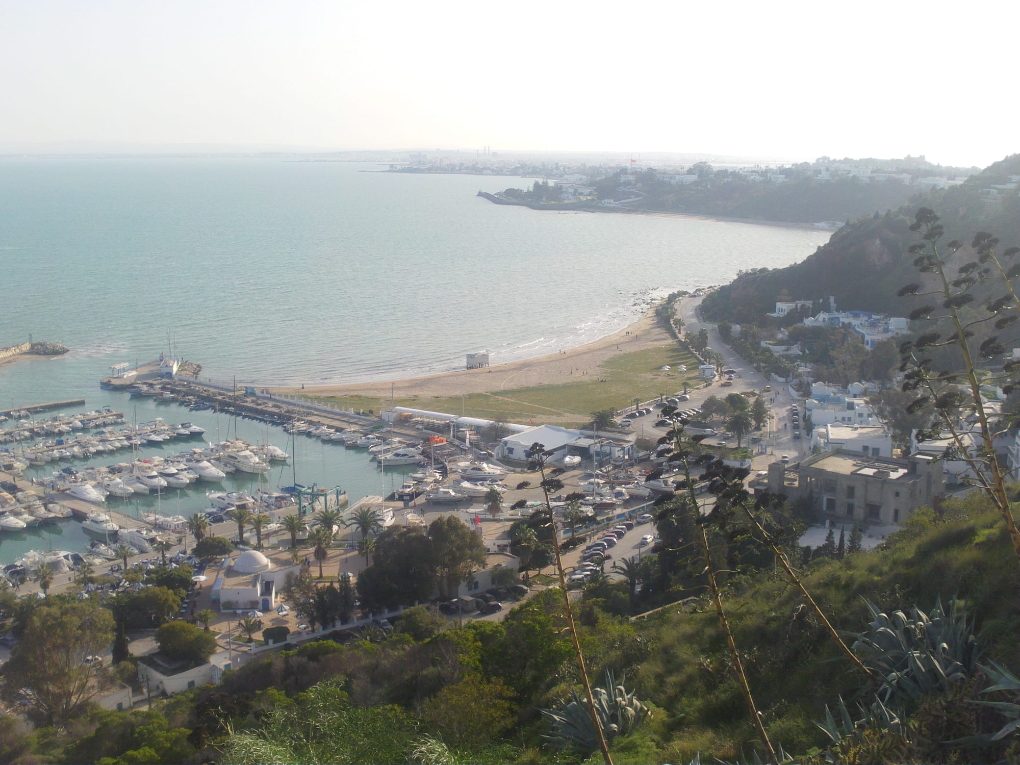 Hillside view over the marina and sandy bay below Sidi Bou Said, with the Gulf of Tunis and a distant coastline