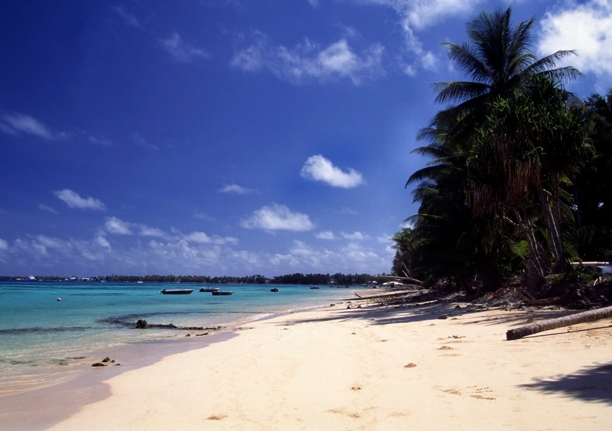 An empty beach of pale sand curving beside a shallow turquoise lagoon with a few small boats at anchor, shaded by coconut palms and pandanus under a deep blue sky