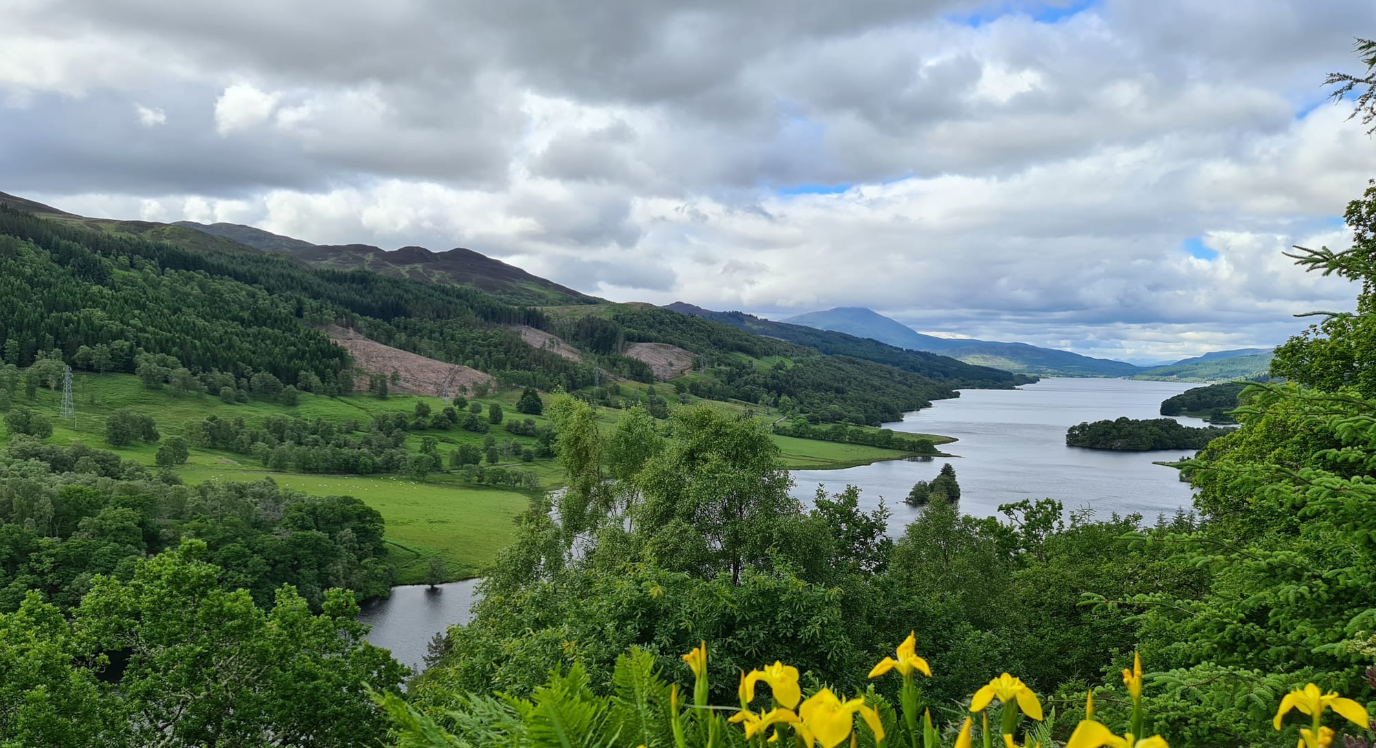 A long loch with small wooded islands winding between forested hills under a cloudy sky, yellow irises in front