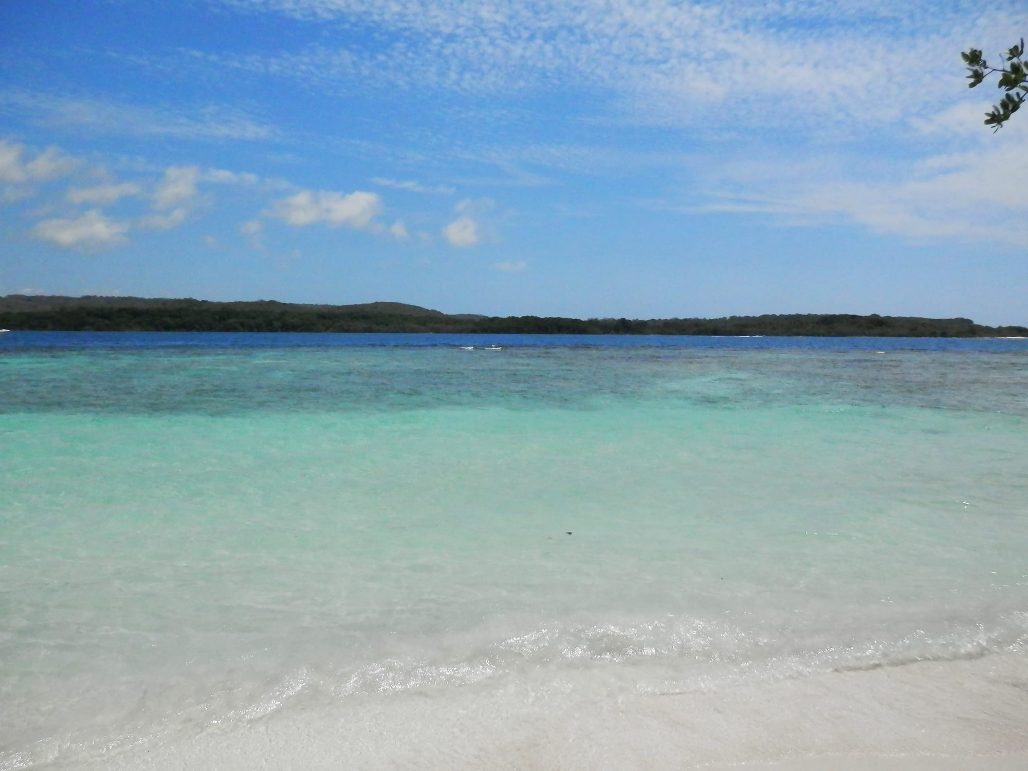 Clear turquoise shallows over a white sand beach, with a low line of green mangrove islands on the horizon